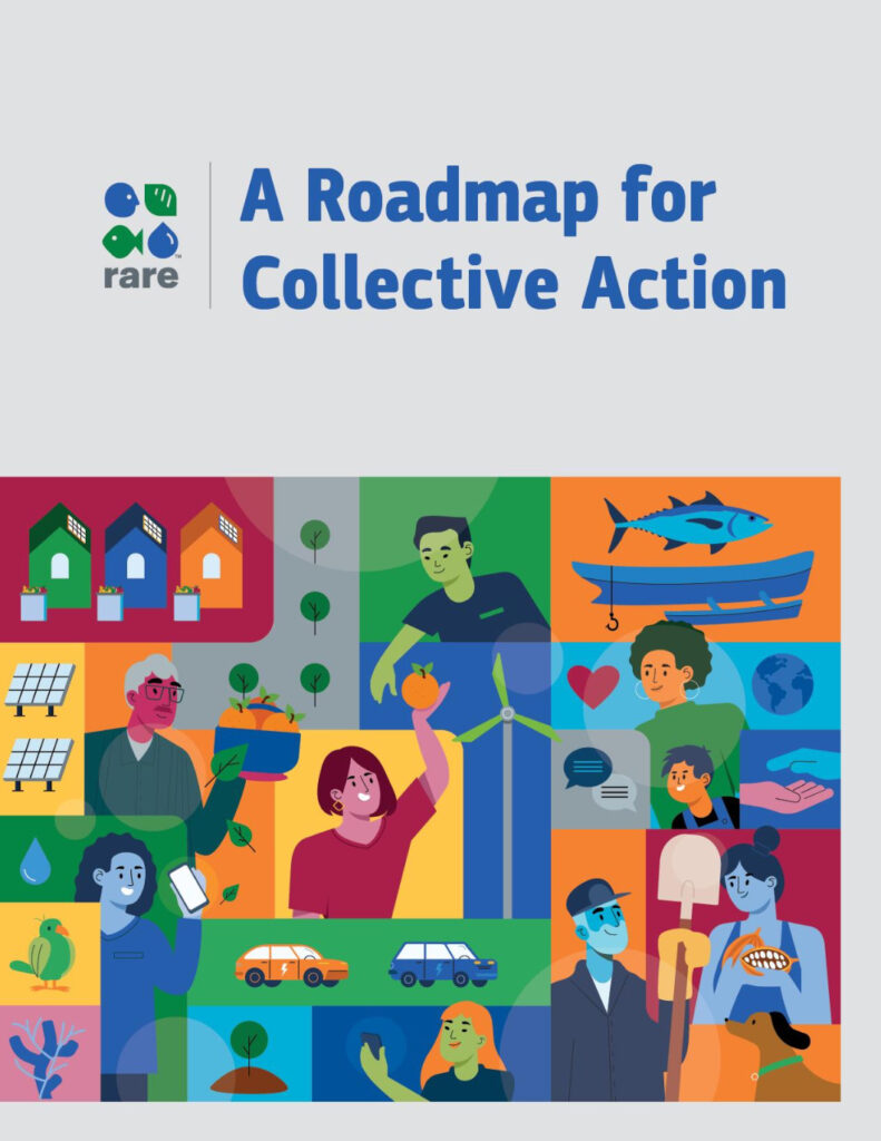 Cover of the Roadmap for Collective action report.